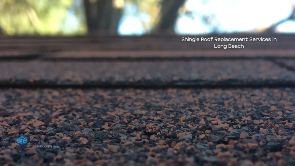 Professional Shingle Roof Replacement Services in Long Beach